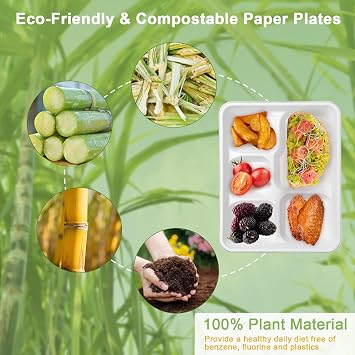 Compostable 5 Compartment Plates, 12.5 x 8.5 inch, 100-Pack