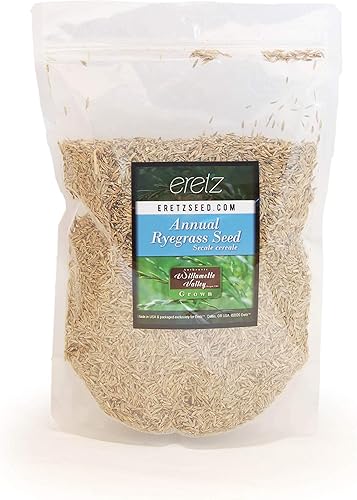 Semilla de césped anual (RyeGrass) por Eretz - Cultivada en Willamette Valley, Oregon. Sin rellenos, sin malezas u otras semillas de cultivos (1 lb)