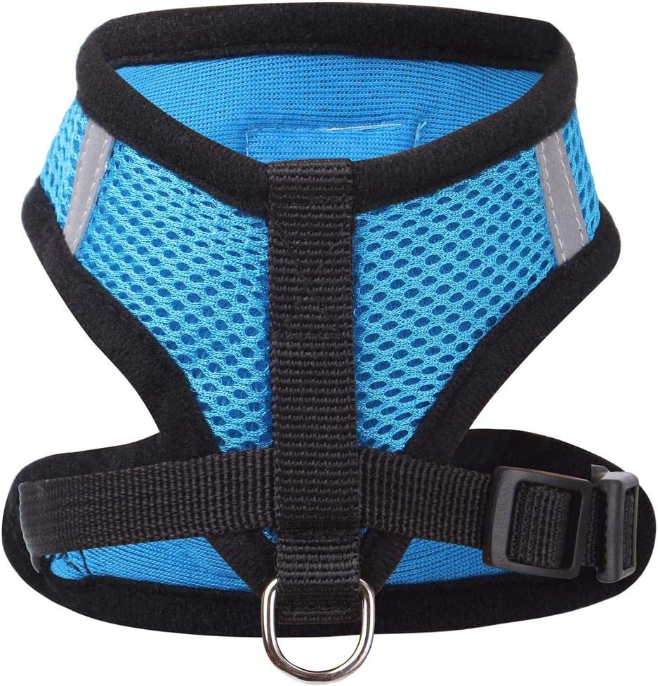 Meeyou Little Pet Adjustable Mesh Harness with Leash(M,Blue)