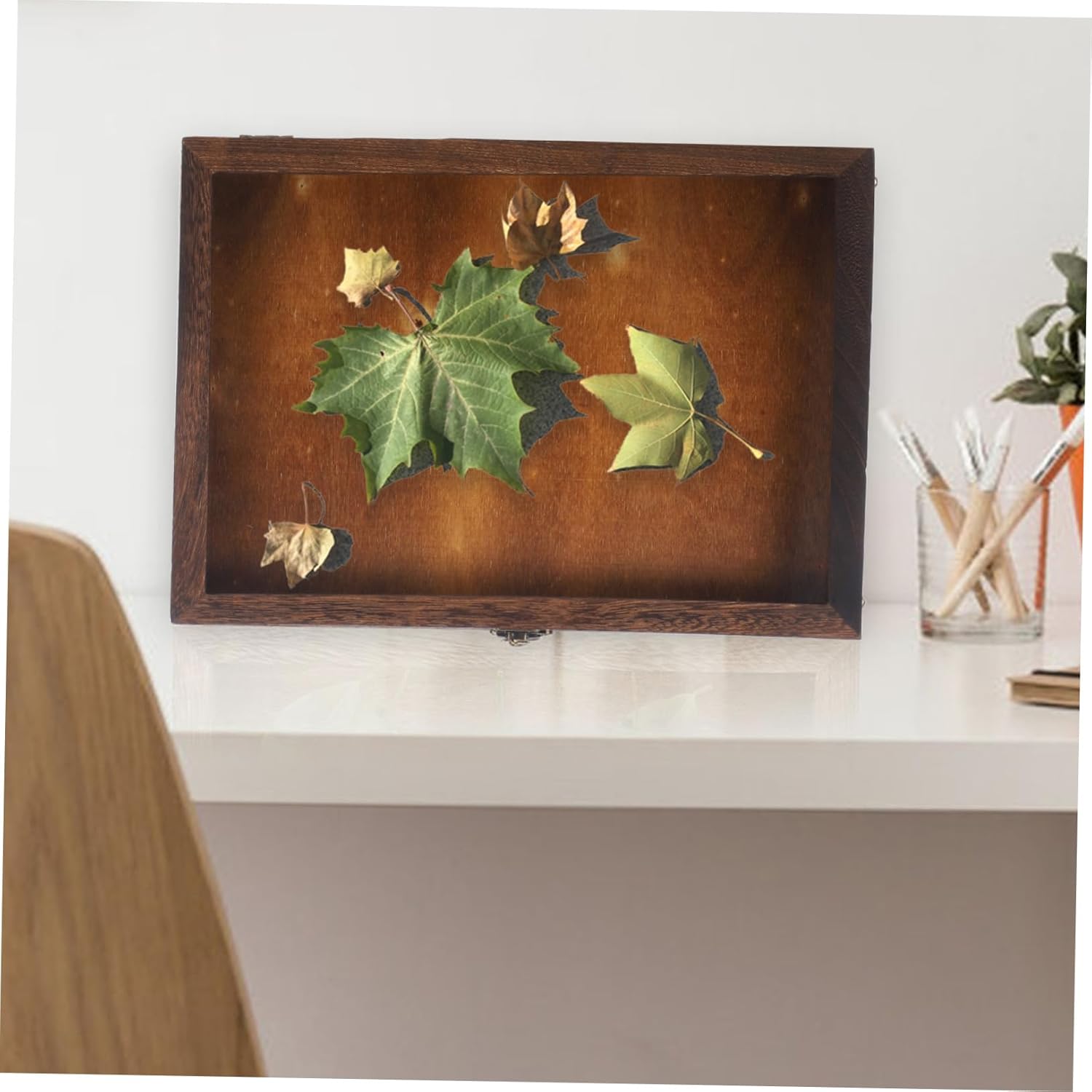 ERINGOGO Specimen Display Box for Butterflies Vintage Design Transparent Cover for Wall Hanging and Showcasing Dried Flowers and