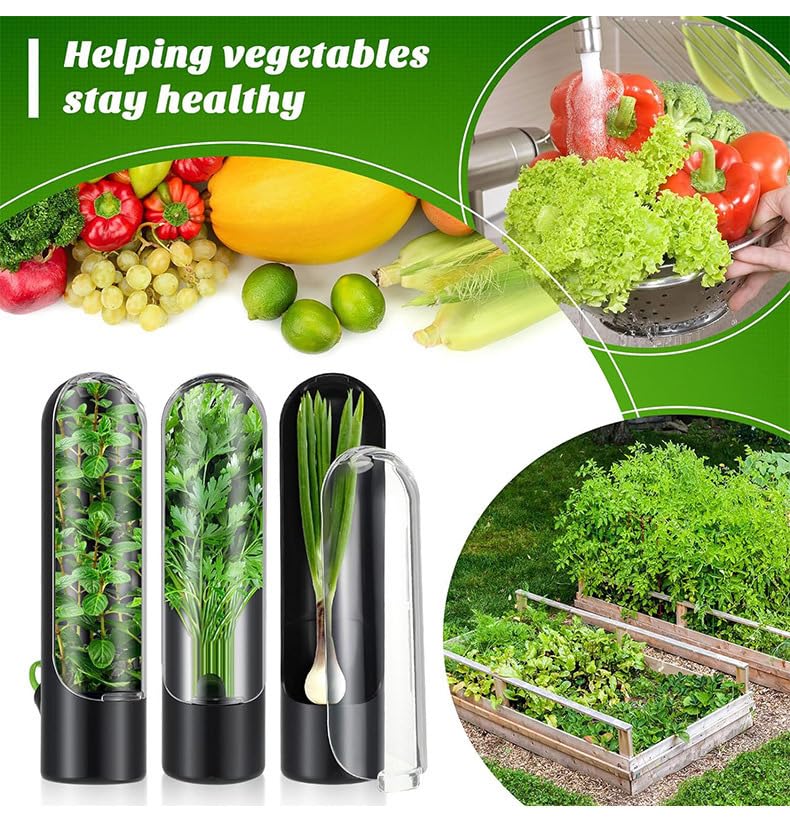 Contenitori per conservare erbe aromatiche, confezione da 6 pezzi, per frigorifero, verdure fresche, per asparagi, coriandolo, menta, coriandolo, mantiene le erbe fresche più a lungo