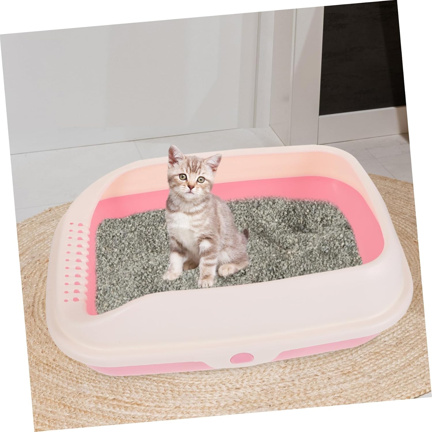 Small Semi-Enclosed Kitten Litter Box with High Sides and Low Entry for Easy Access Spacious Portable Cat Toilet Pan for Comfortable Use and Health Monitoring at Home
