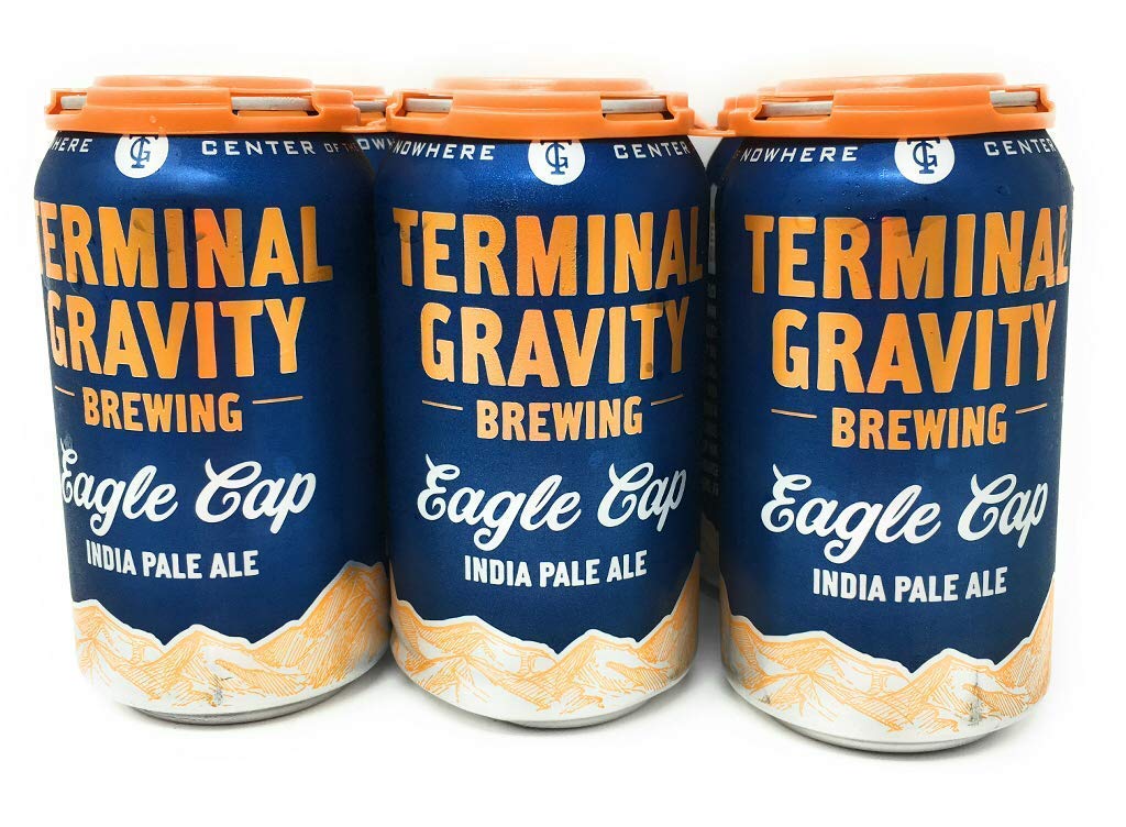 TERMINAL GRAVITY Ipa 6Pk, 12 FZ Grocery & Gourmet Food