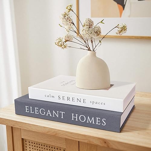 Miniatura 3 de Juego de 2 libros decorativos, caja de almacenamiento de libros de imitación, decoración moderna del hogar para mesa de café, estantería, repisa de