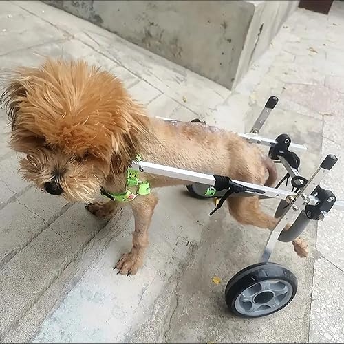 Silla de ruedas todo terreno para patas traseras, 2 ruedas, ayuda de movilidad de mascotas para la actividad del perro, soporte de cadera ajustable,