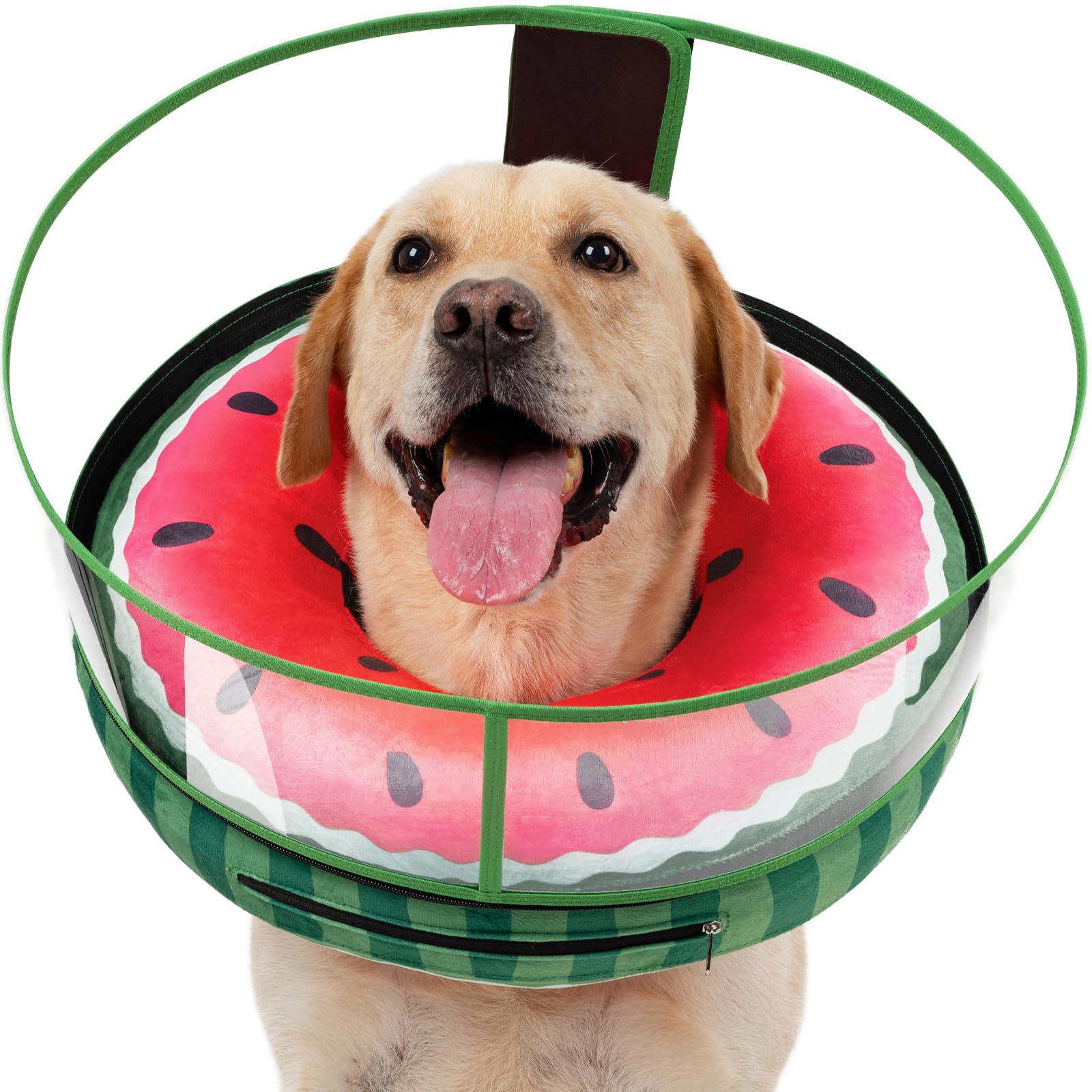 Cône doux pour chien collerette gonflable contre le léchage des plaies