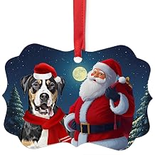 Festive Holiday Winter Scene Young Greater Swiss Mountain Dog with Santa Christmas Ornament 2026 Benelux Aluminum - Pet Portrait Keepsake Xmas Decor Gifts for Swissy Dog Lovers