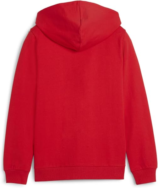 Puma Teamgoal Casuals Veste À Capuche Jr Sudation Garçon (Lot de 1) - 2