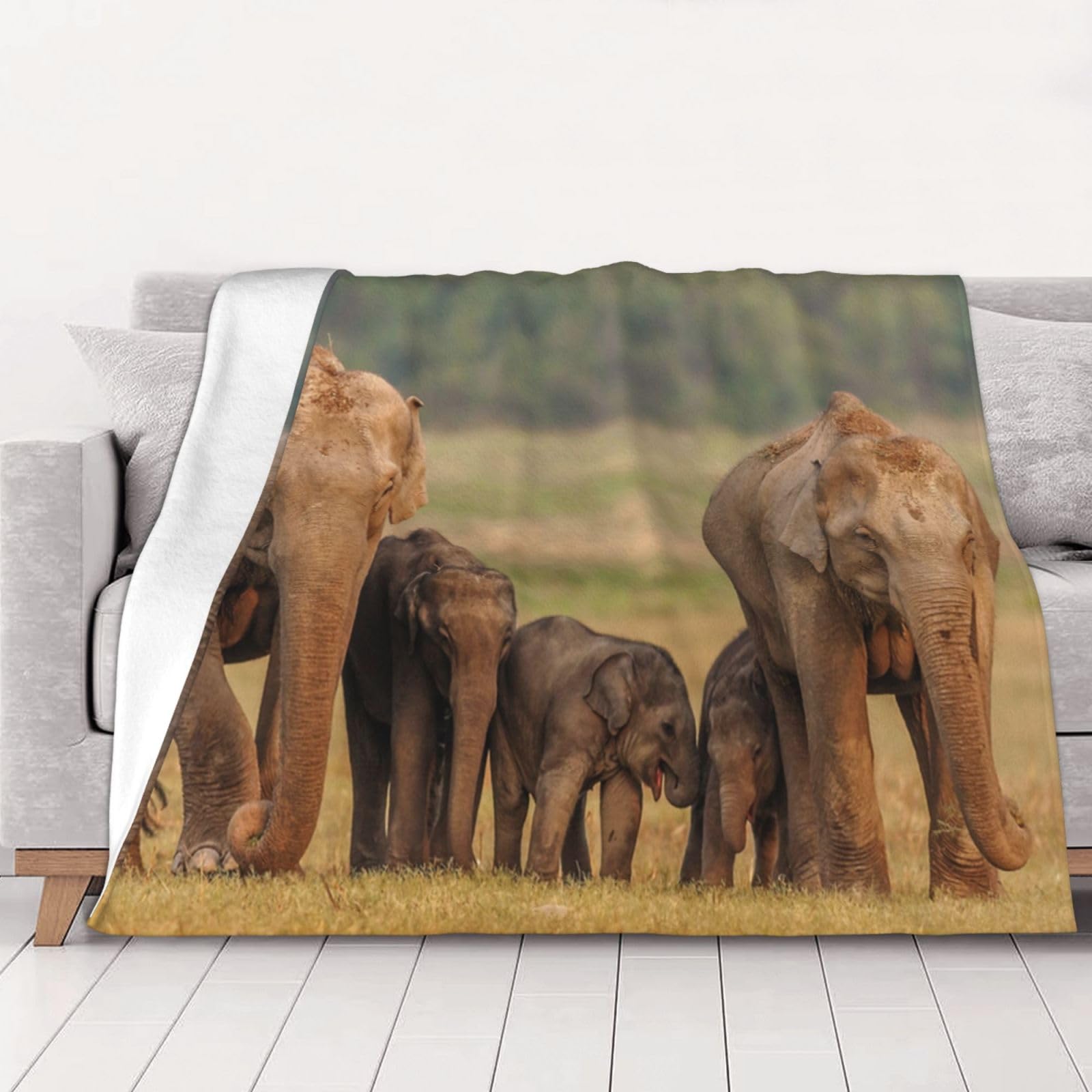 AUBKFELD Elephant Family Printed Flannel Blanket 102x76 CM, Soft & Warm Throw Blanket for Sofa/Couch/Bed/Car, Gifts for Audlts Women Men