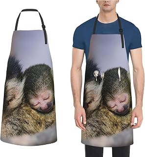 Aprons for Cooking Chef Apron With Pockets Plane Flying Fast Apron Kitchen Bibs for Baking Gardening