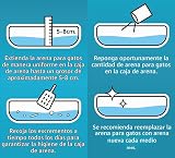 Ver la foto 6