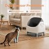 Product Photo 4