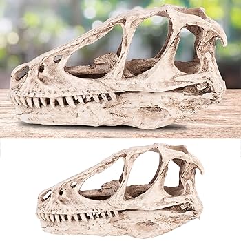 Top Grade Monolophosaurus Fossil Resin Dinosaur Skull Model Halloween Gifts Home Decoration-in