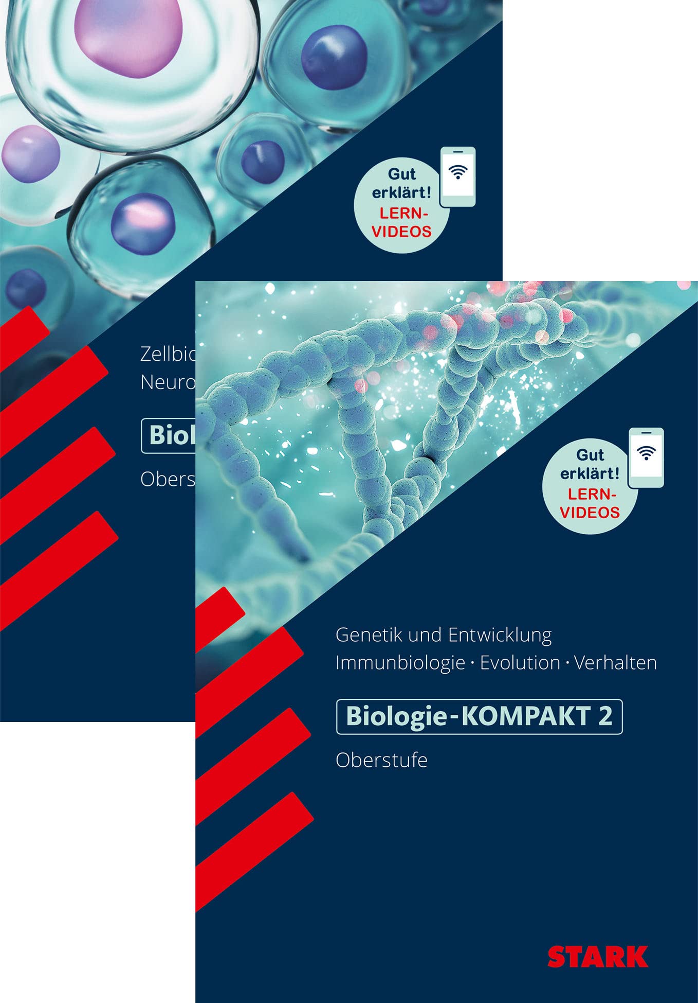 STARK Biologie 1 und 2 Oberstufe Vorteilspaket - KOMPAKT: Band 1: Zellbiologie, Stoffwechselphysiologie, Informationsverarbeitung/Neurobiologie und ... (Wissen-KOMPAKT / Auf einen Blick!)
