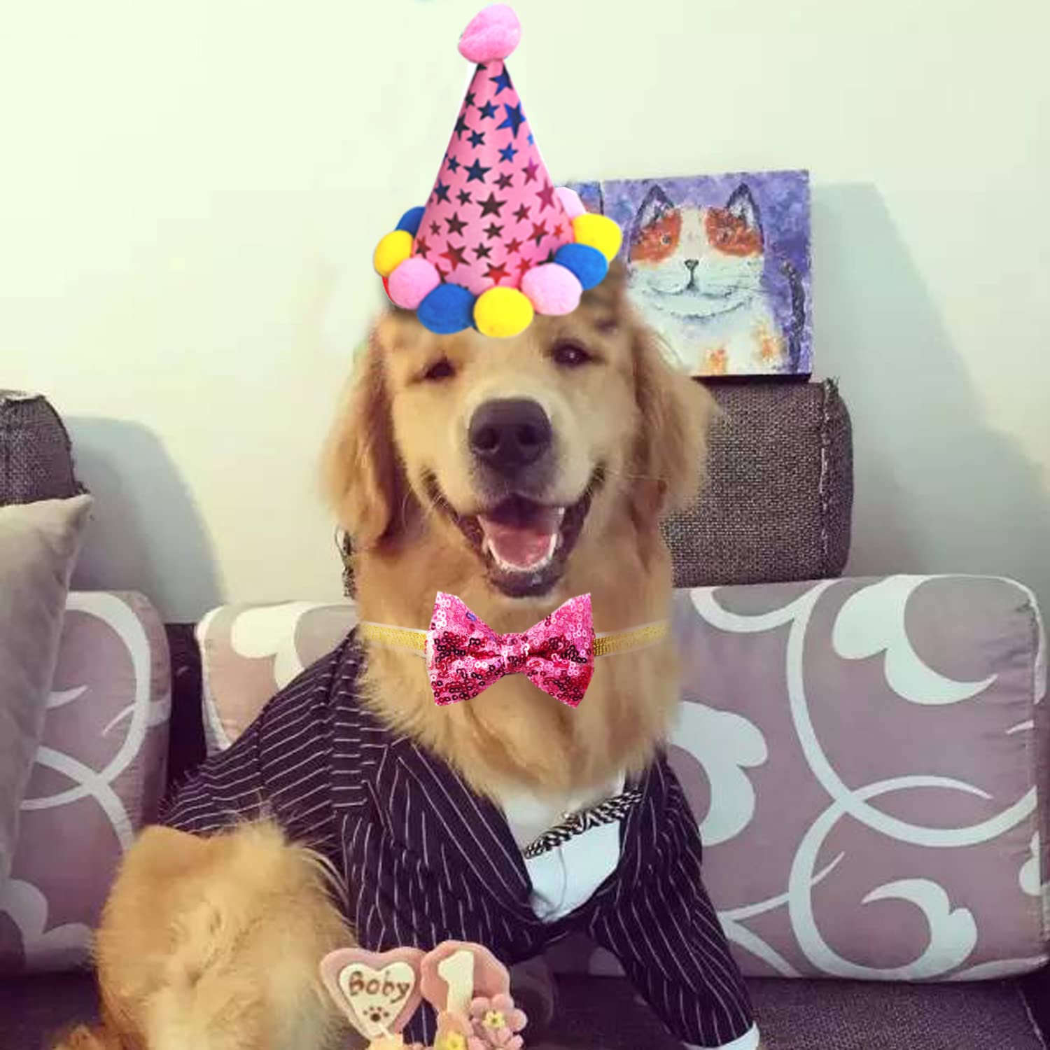 Cappello a bandana per cani Happy Birthday con stampa zampe blu set regalo