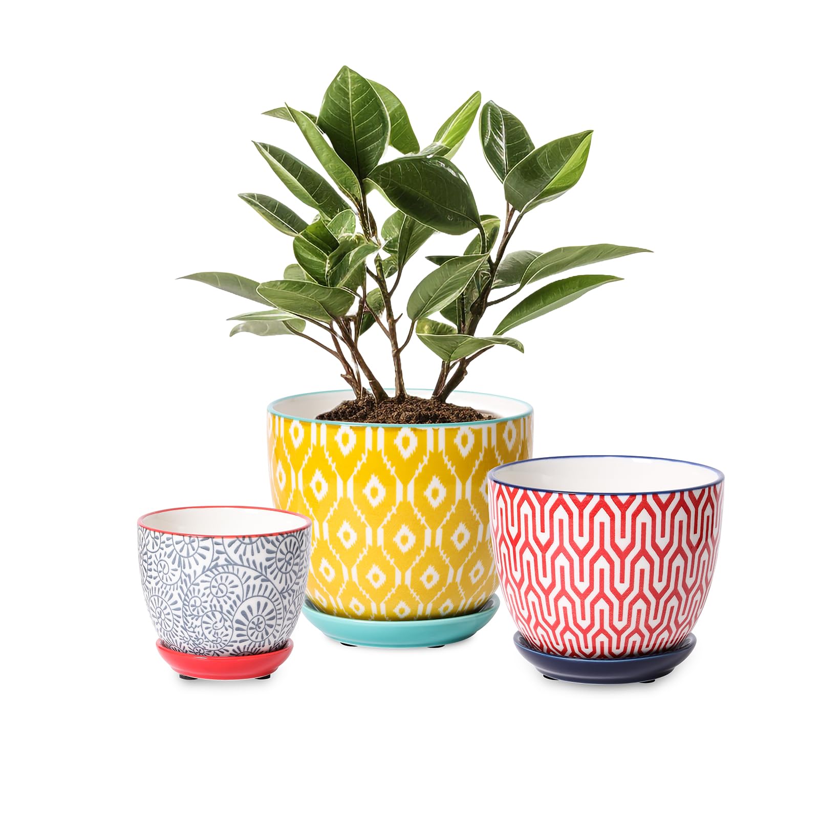 Selamica Ceramic Plant Pots