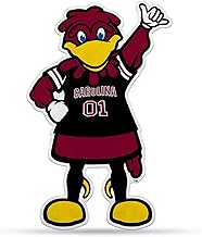 Rico Industries NCAA South Carolina Fighting Gamecocks NCAA Mascot Shape Cut Pennant, Team color, Item footprint: 18' x 18'