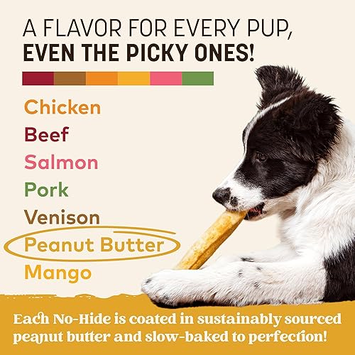 Miniatura 6 de EARTH ANIMAL No Hide - Palitos masticables para perros con sabor a mantequilla de maní mediana sin cuero crudo natural, de larga duración, golosinas