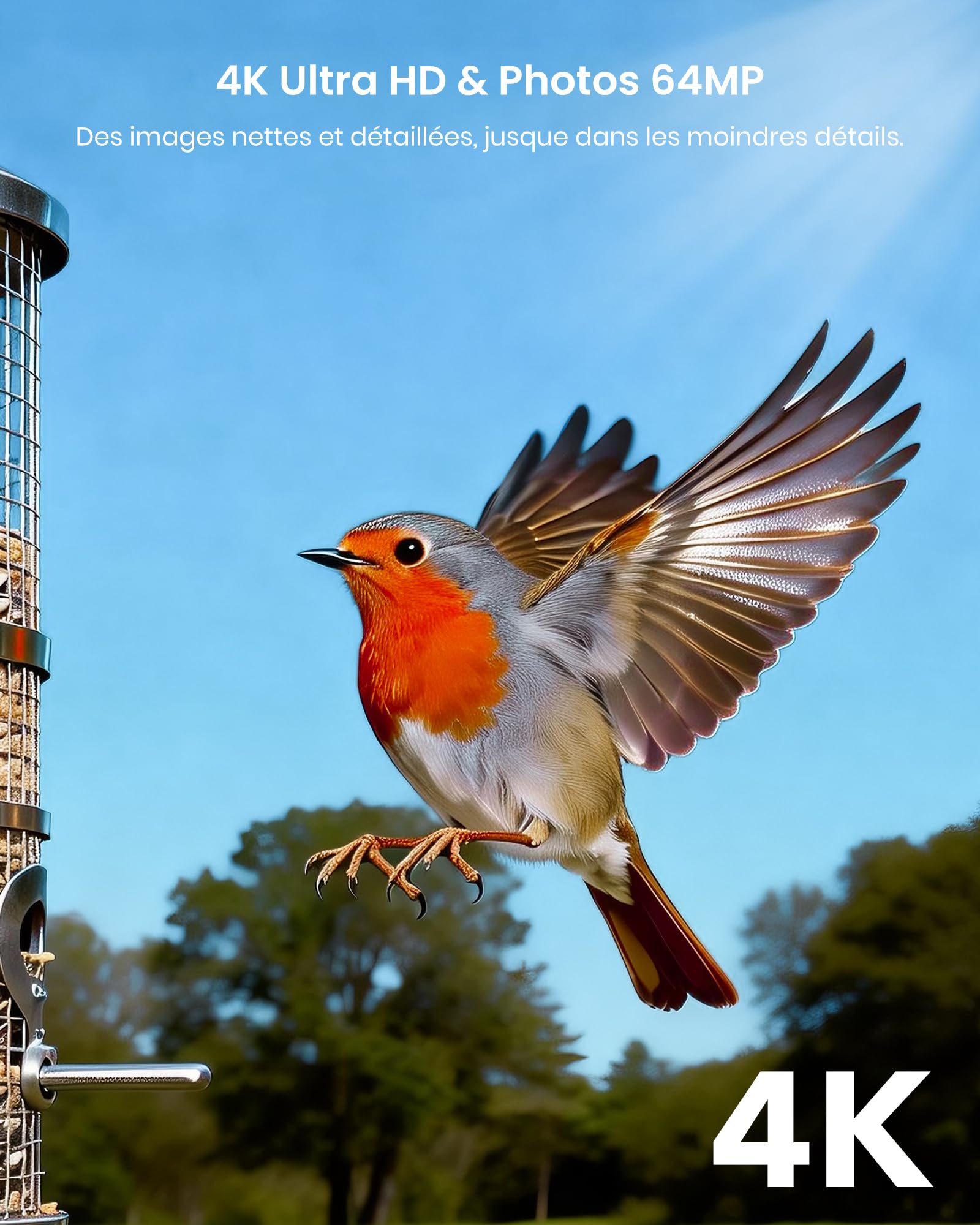 Misstech Caméra de Chasse Solaire 4K 64MP: Contrôle App, sans Abonnement | 0,1s Déclenchement, Vision Nocturne, IP66, Stockage Local, Idéal pour Jardin, Ferme et Observation des Animaux Sauvages