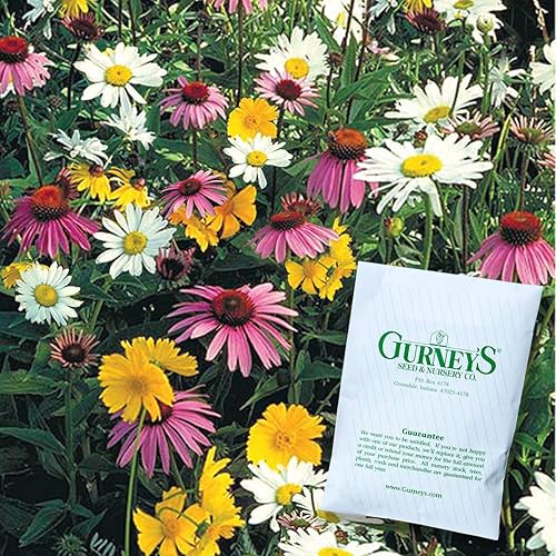 Miniatura 2 de Mezcla de semillas de flores silvestres amantes de la sombra trae una variedad de colores a un lugar en tu jardín - Paquete de semillas de 0.50 onzas