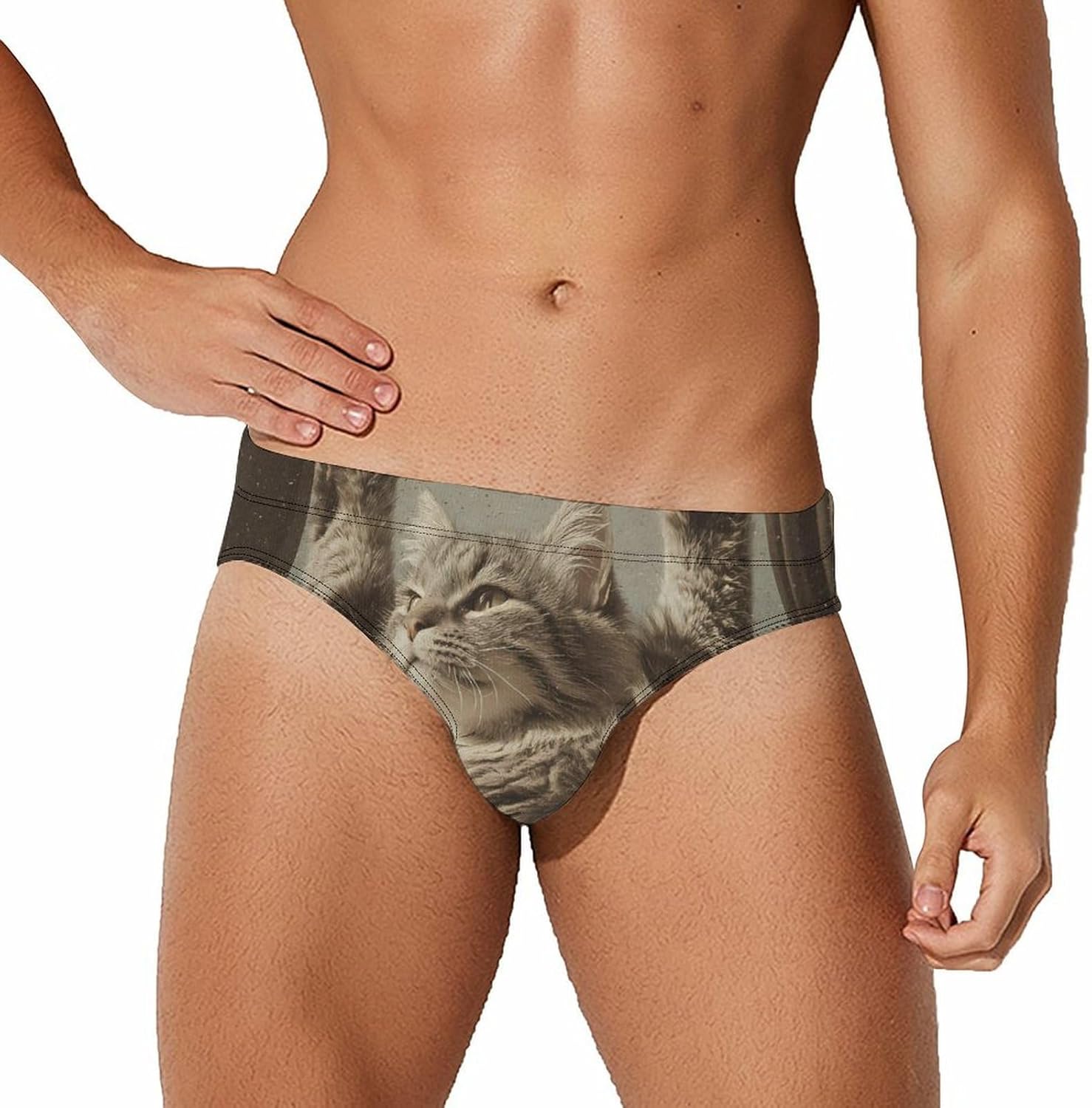 Cat Power Snowy Mountain Men's Swimwear Bikini Swimming Briefs Stretchy Swimsuits Board Surf Shorts Trunks