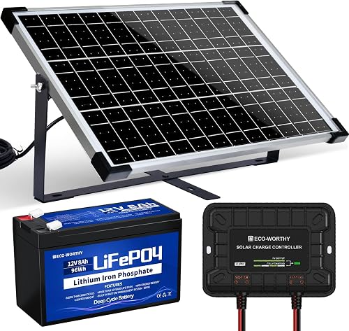 Kit Panneau Solaire avec Batterie 25W 12V : Panneau S ECO-WORTHY