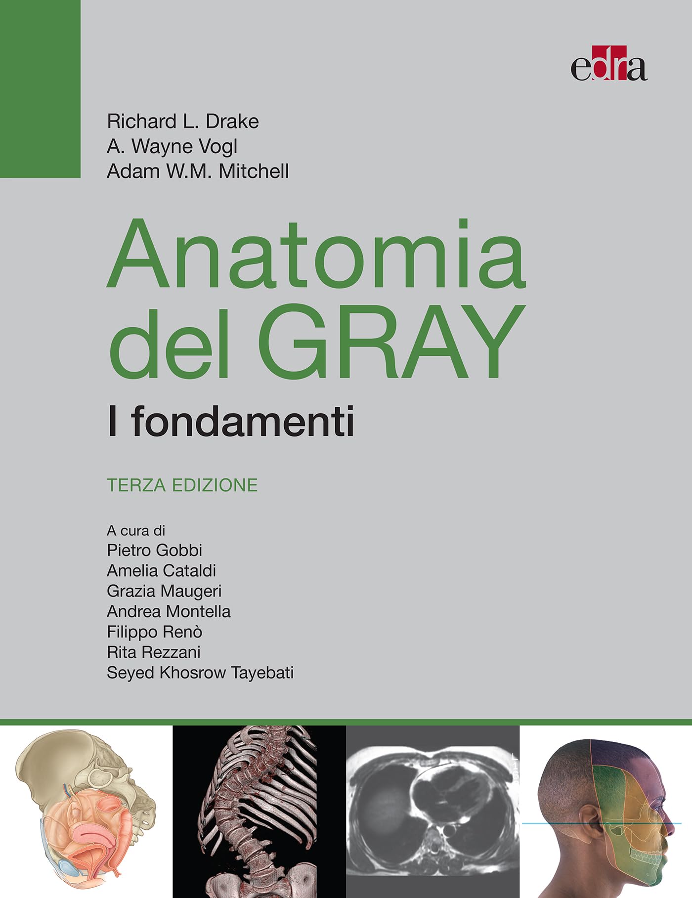Anatomia del Gray. I fondamenti: Terza Edizione (Italian Edition)