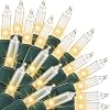 Clear Christmas Lights,21.2FT 100 Count Mini Christmas Lights for Outdoor & Indoor,Warm White Incandescent String Lights Connectable for Xmas Tree Party Holiday Home Decor,Green Wire