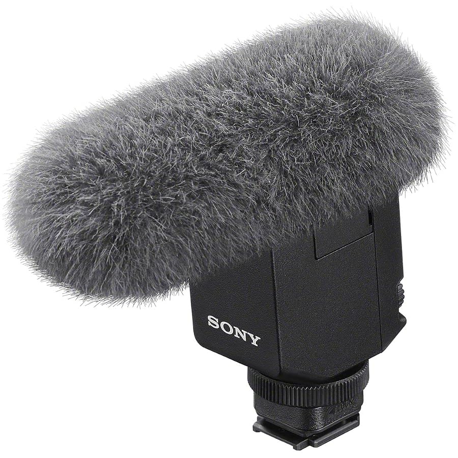 Sony ECM-B10