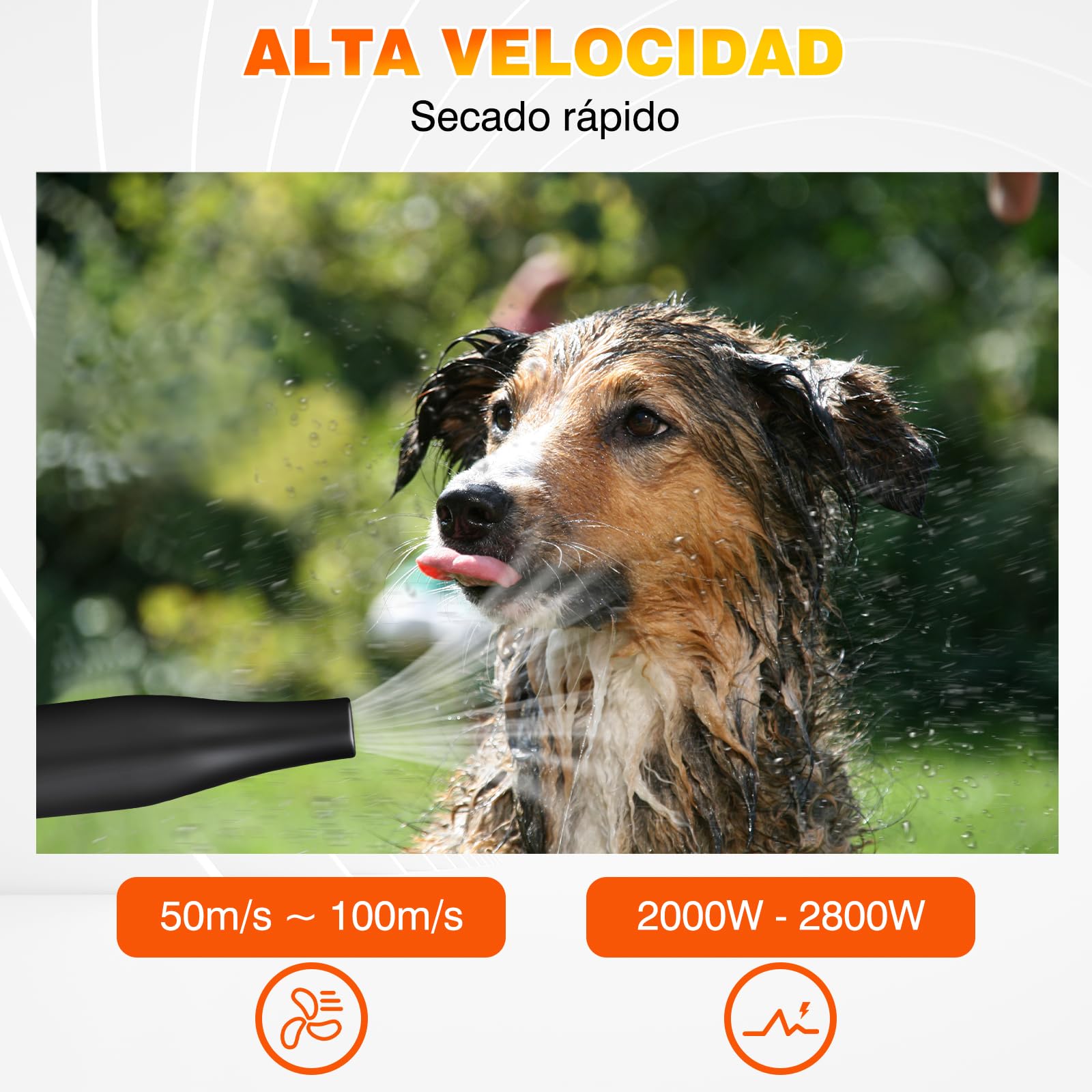 2800W secador de pelo de mascotas sin escalonamientos de baja velocidad de ruido de peluquería del gato secador de pelo profesional de calefacción Blaster soplador con 4 boquillas
