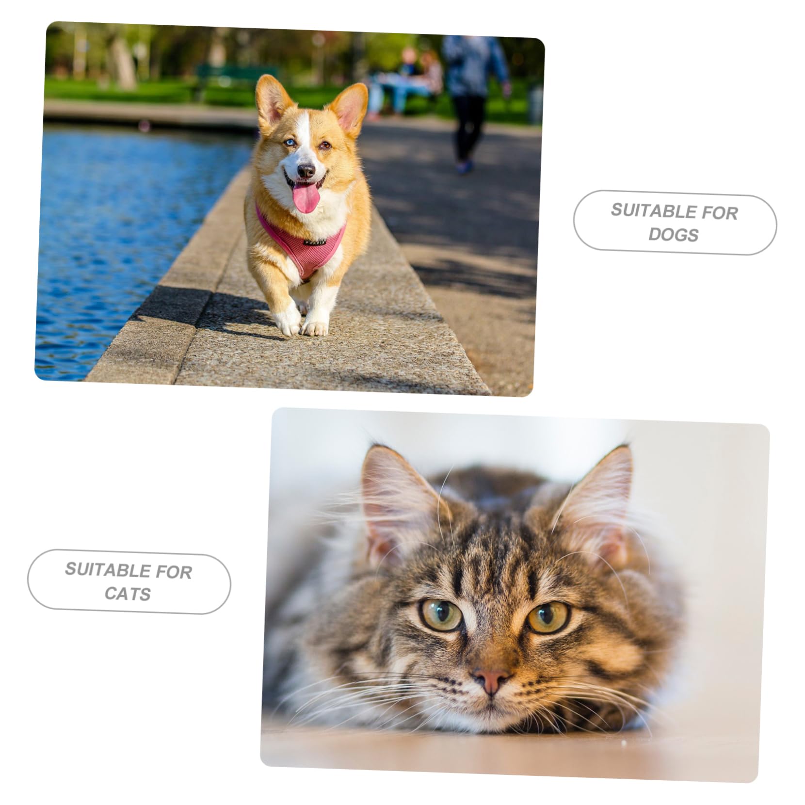 Distributeur Eau pour Chat Et Chien pour Animaux De Compagnie Distribueur De Nourriture pour Chien Et Chat