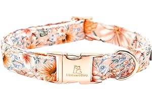 Lionheart Glory Fall Dog Collars for Large Dogs Female