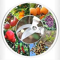 Vista 6 de Leize - Juego de tijeras para flores, paquete de 2 unidades, tijeras florales de acero inoxidable premium y engrosadas, podadora fuerte para flores