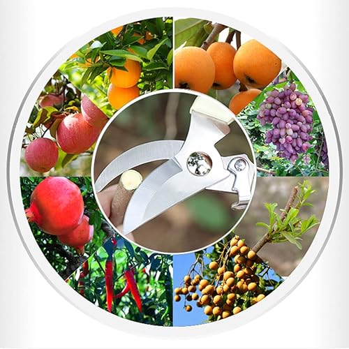 Miniatura 5 de Leize Juego de 2 tijeras de flores de acero inoxidable grueso de alta calidad, podadora fuerte para flores, ramas y hojas, mejora