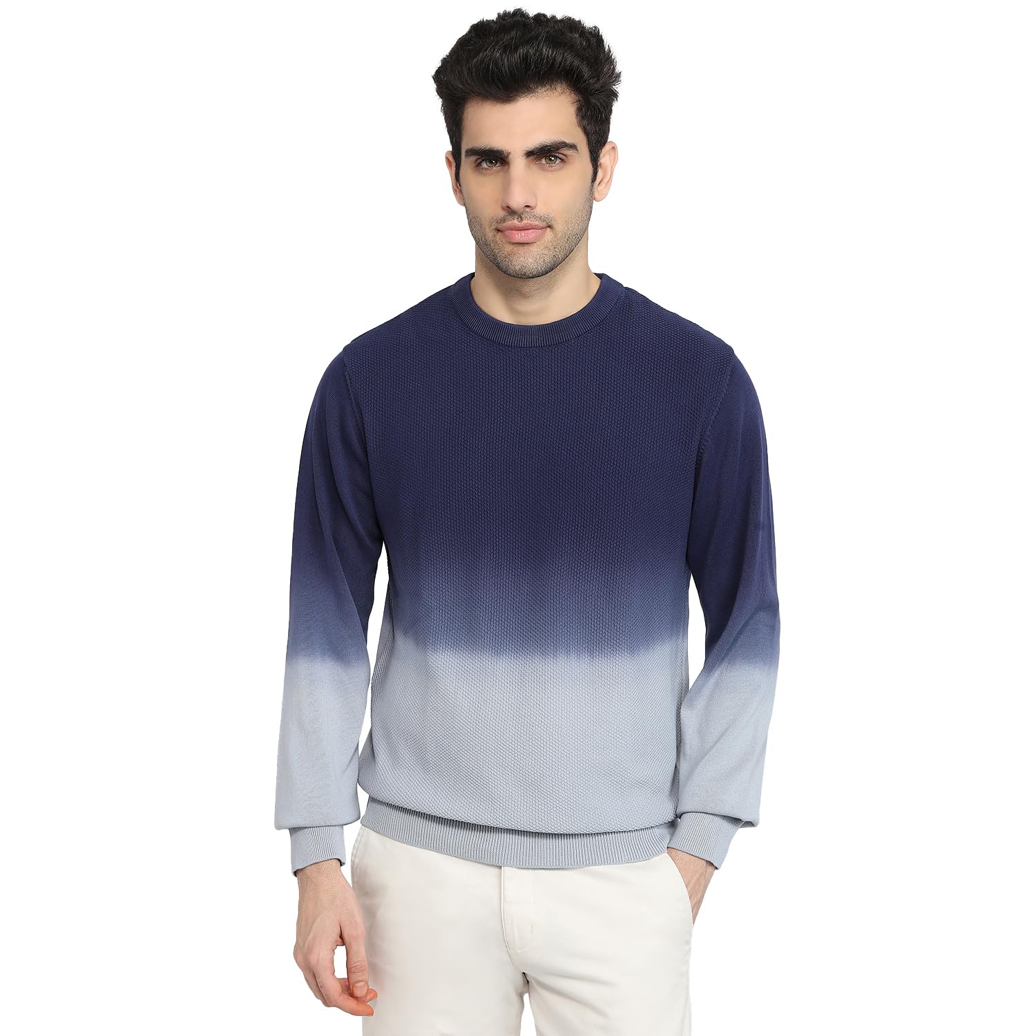 colorplus Men Regular Fit Jacquard Pattern Pure Cotton Full Sleeve Round Neck Casual Sweater Navy-picture-19