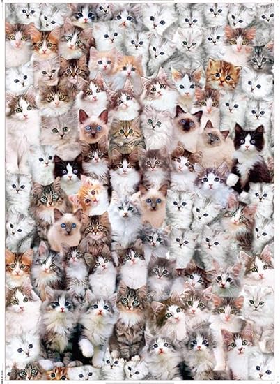 cat puzzles amazon