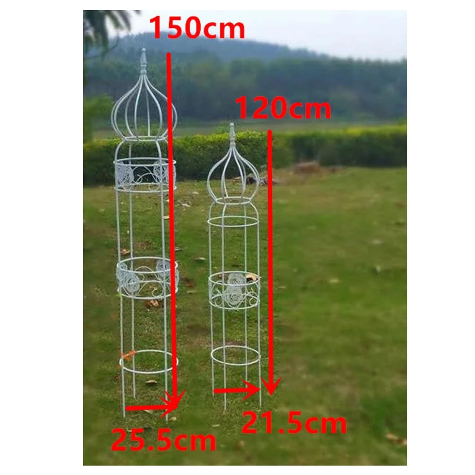 SCENDOR Traliccio da giardino per piante rampicanti, 150 cm di altezza x 54,9 cm di larghezza, in metallo, design unico, struttura decorativa da giardino, tralicci resistenti alle intemperie