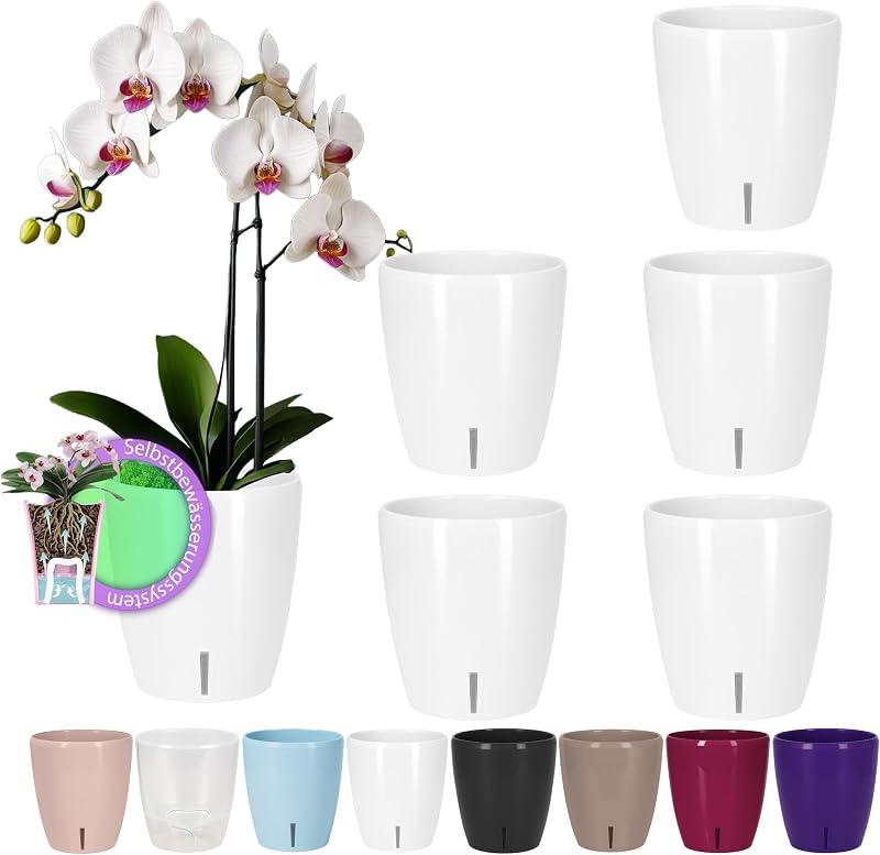 Santino 6er-Set Selbstbewässernder Topf mit Dochtsystem und Wasserstandsanzeige für den Innenbereich, Orchideentopf D 15cm (White - 2L)