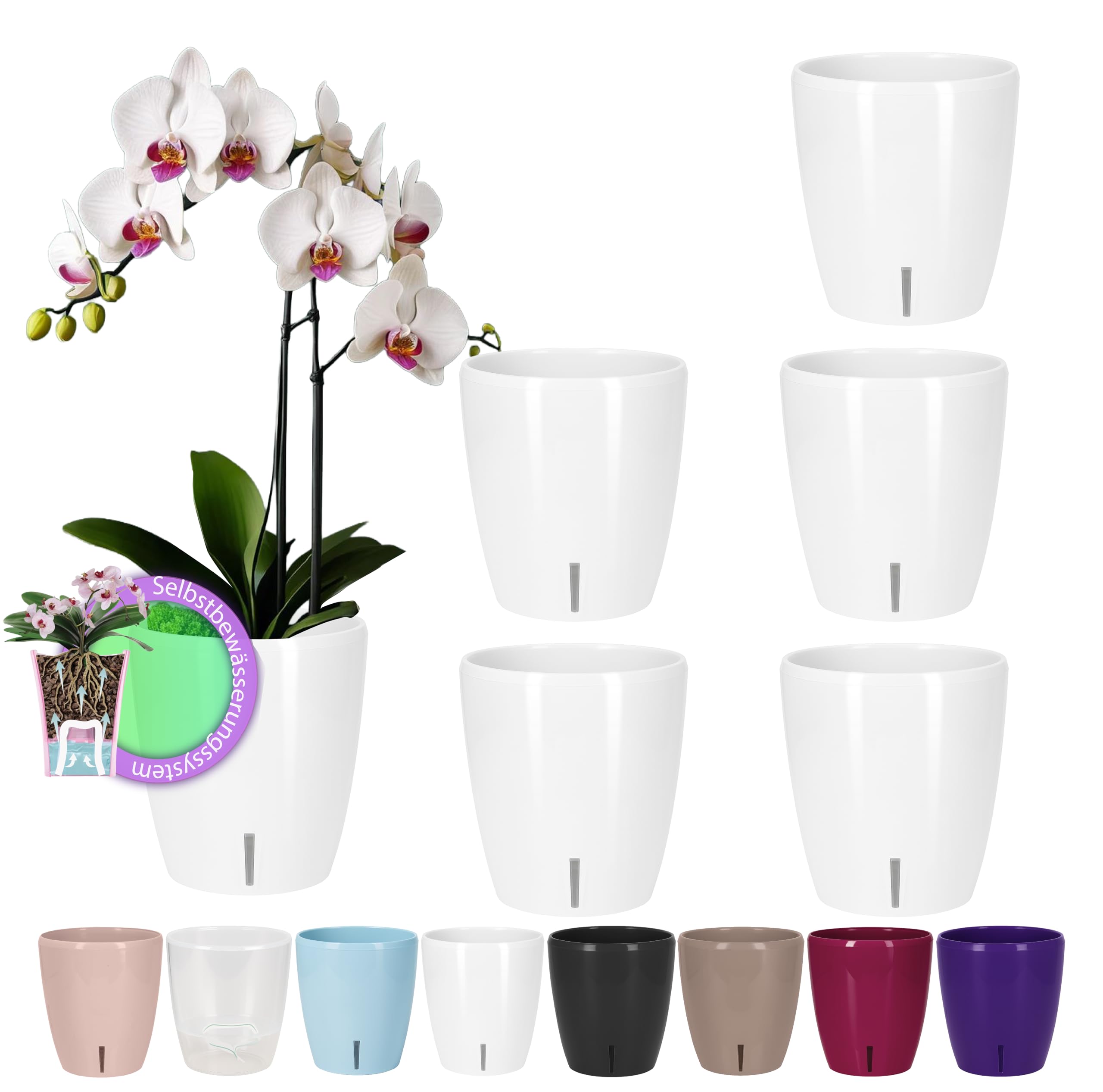 Santino Maceta para Orquídeas Ø 12cm Maceta Autorriego con Sistema de Mecha e Indicador de Nivel de Agua para Interior (Ø 12cm - 1,3L - Transparente) — view 18