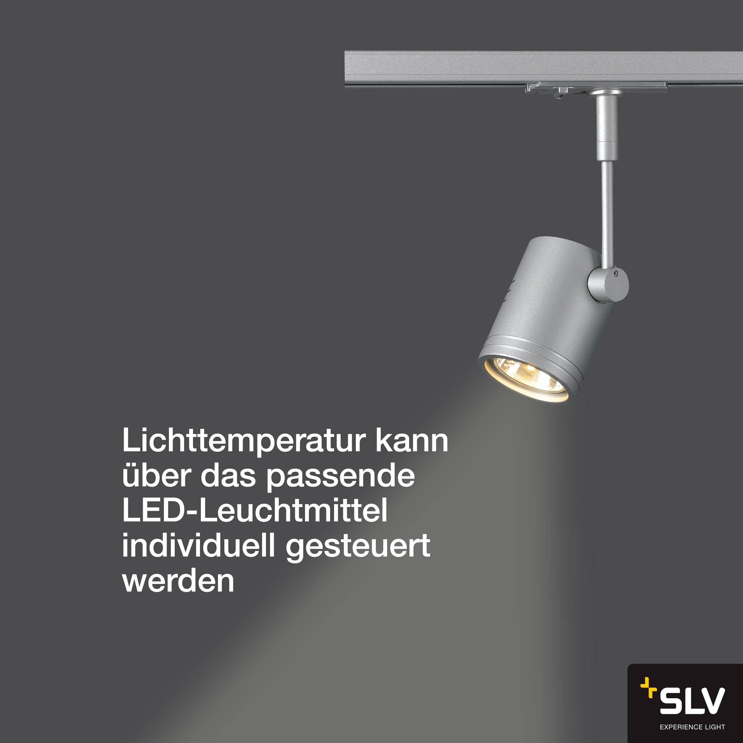 SLV