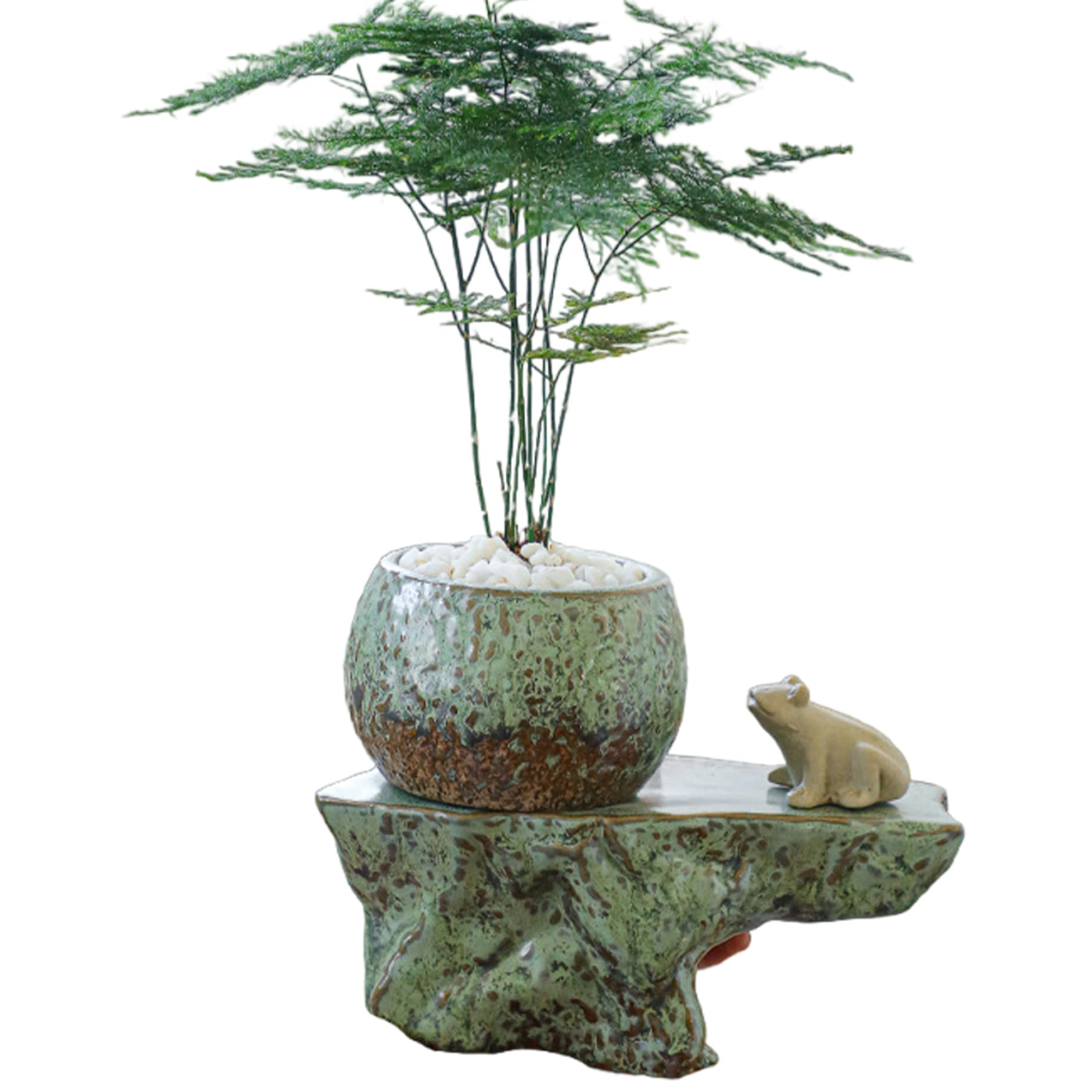 Ceramic Self Watering Pots for Indoor Plants, Self Watering Planter Insert with Frog Figurine, Easy-to-Use for Indoor Plants Green