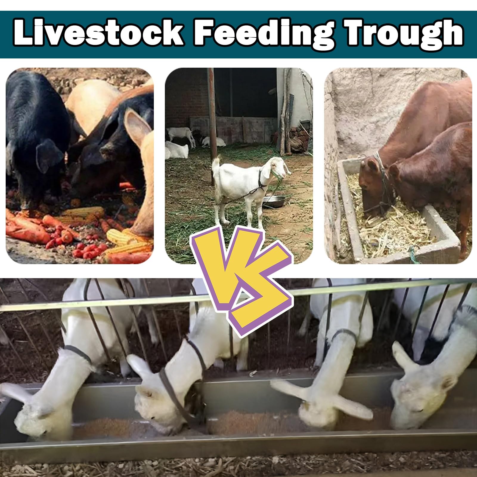 Futterspender und Wassertrog aus Edelstahl – langlebige Futter- und Bewässerungslösung für Pferde, Kälber, Rinder und Schweine