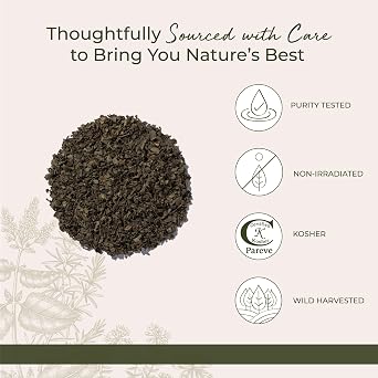Starwest Botanicals Wildcrafted Chaparral Leaf - Bulk 1 lb Bag