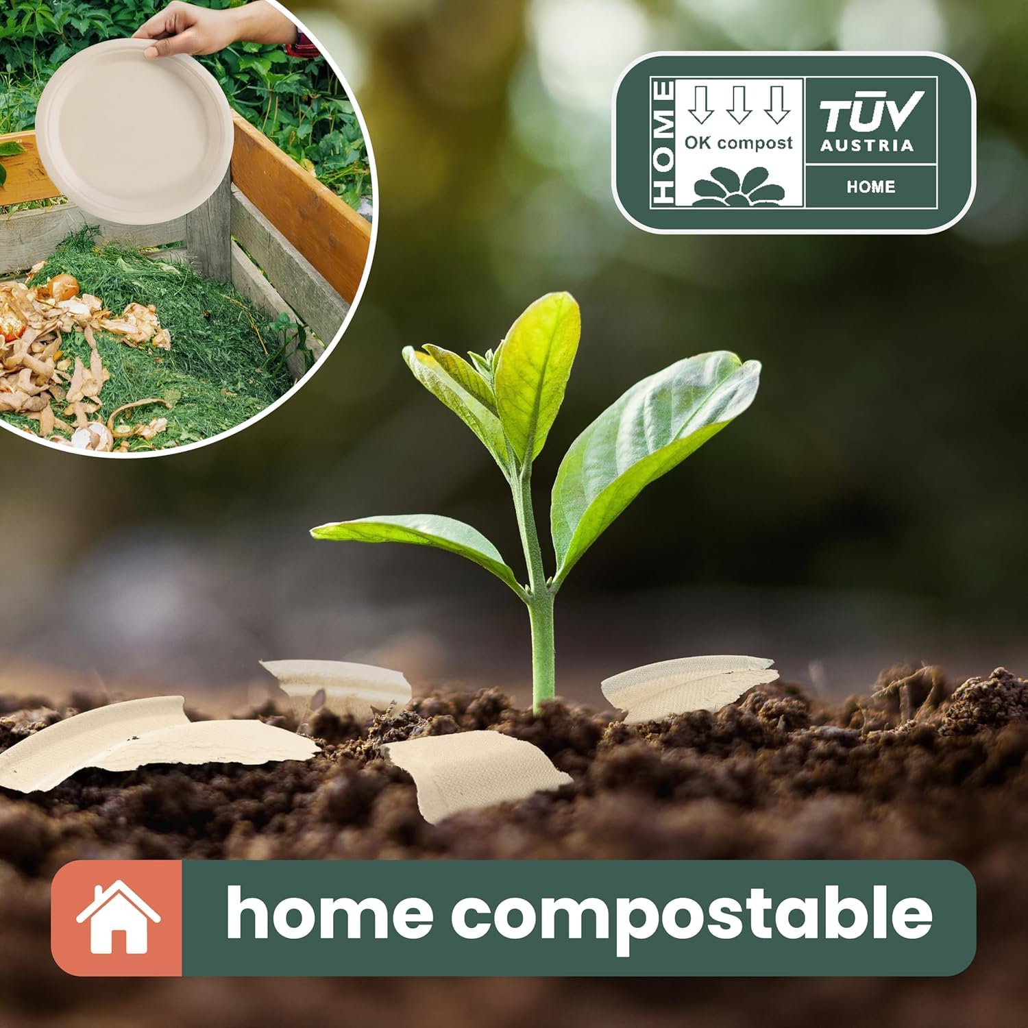 HAAGO 100 Assiettes Solides Compostables à 5 Compartiments 26×21cm – Plateaux Repas Rigides en Bagasse de Canne à Sucre, Anti-Graisse & Anti-Fuites – Pour Chaud & Froid, Fêtes, Pique-nique, Traiteur