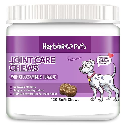 HERBION Pets Joint Care Chews with Glucosamine & Turmeric, 120