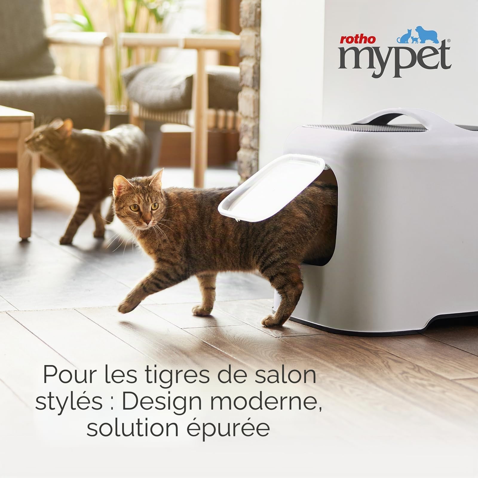 Rotho MyPet Bea litière pour Chat avec Porte à Aimant et Pelle en PP Gris | Bac à litière pour chat fermé, maison de toilette chat, filtre à charbon, PP recyclé, poignée, 4 filtres de rechange