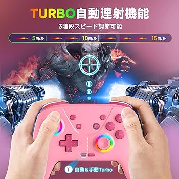 Switch コントローラー付 31VtQEKMLJL.jpg_BO30,255,255,