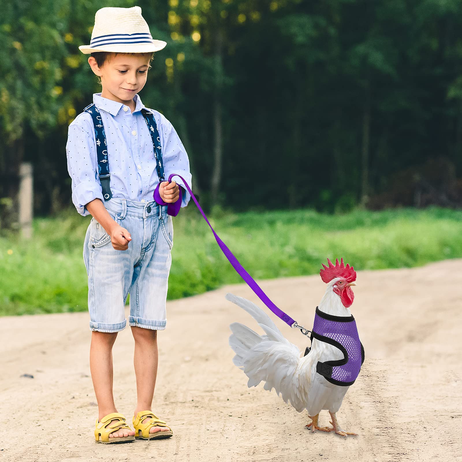 HYROOY Hühner Geschirr Mit Leine - Verstellbares Trainingsgeschirr Für Hennen & Enten