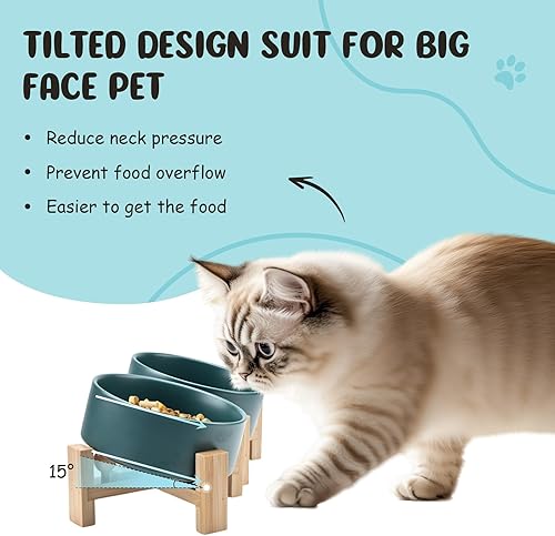 Miniatura 2 de SPUNKYJUNKY Cuenco de cerámica inclinado de 15 para perros y gatos con soporte de madera, cuenco inclinado para comida y agua para bulldog
