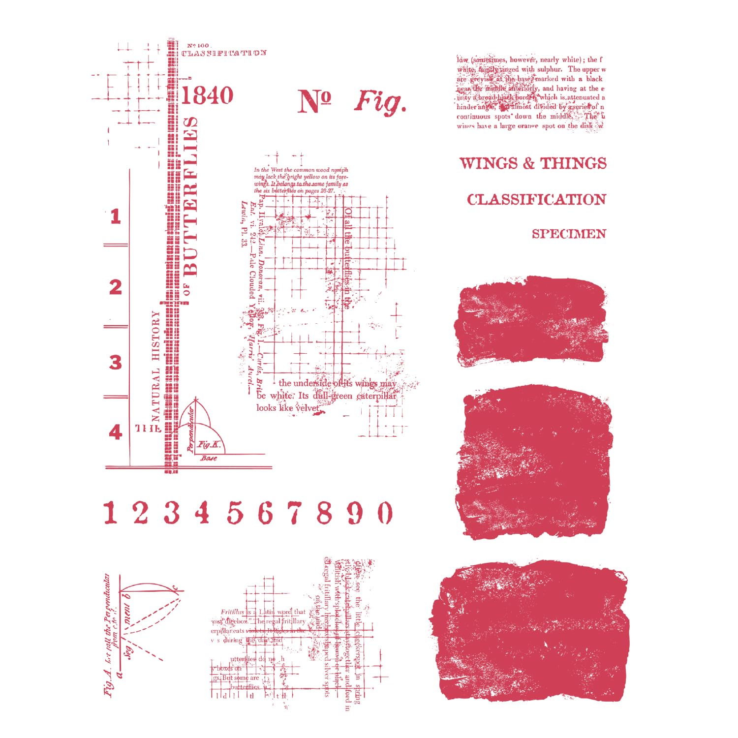 Sizzix Clear Stamps Set, Wings and Things by 49 and Market, 24 Rubber Stamps